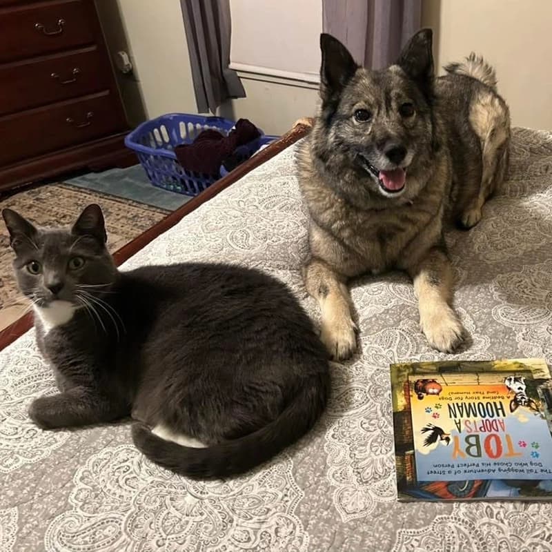 Kona and Murphy (cat)